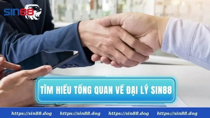 Đại lý nhà cái là đơn vị hỗ trợ nhà cái tìm kiếm người chơi